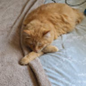 Meet your Posher, Annie